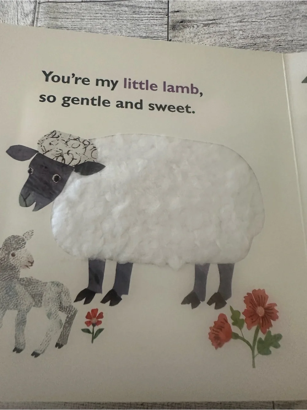 Brown Bear, You're My Little Baby Touch & Feel, head to toe 3 Board Book bundle
